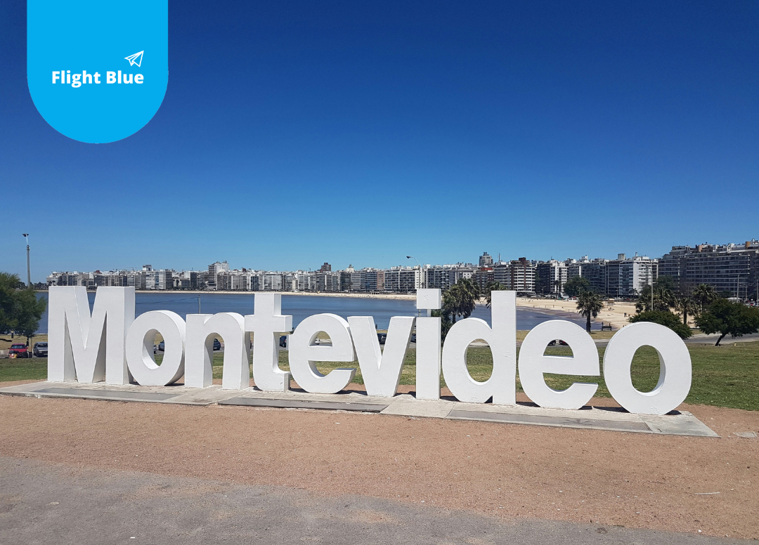 Flight Sydney - Montevideo from